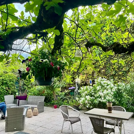Le Cosy, Acces Terrasse De L'etablissement